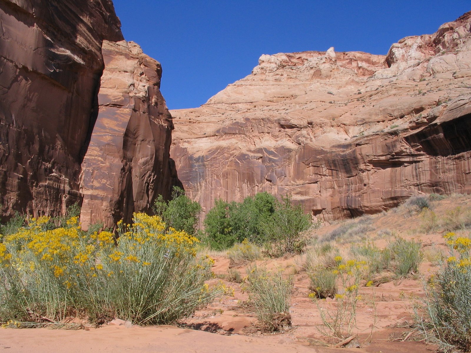 [Moab+Canyonlands+Goblin+Valley+131.jpg]