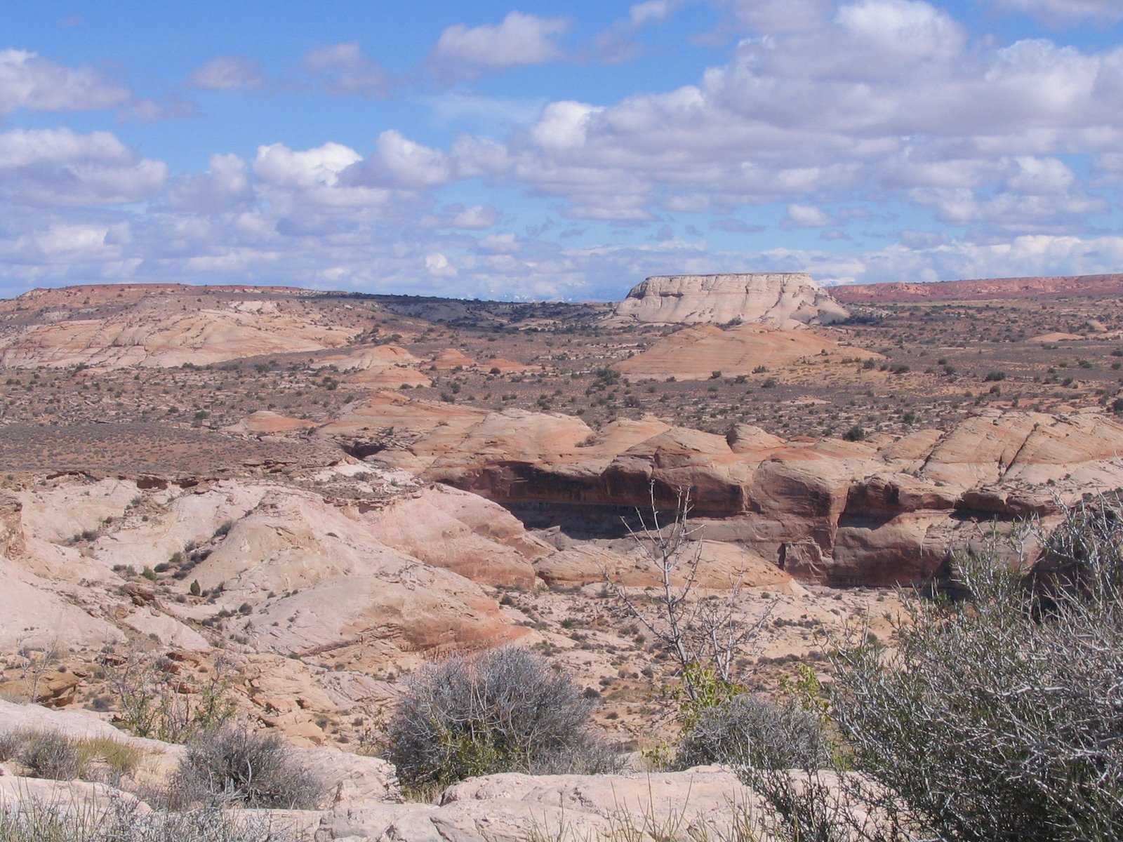 [Moab+Canyonlands+Goblin+Valley+107.jpg]
