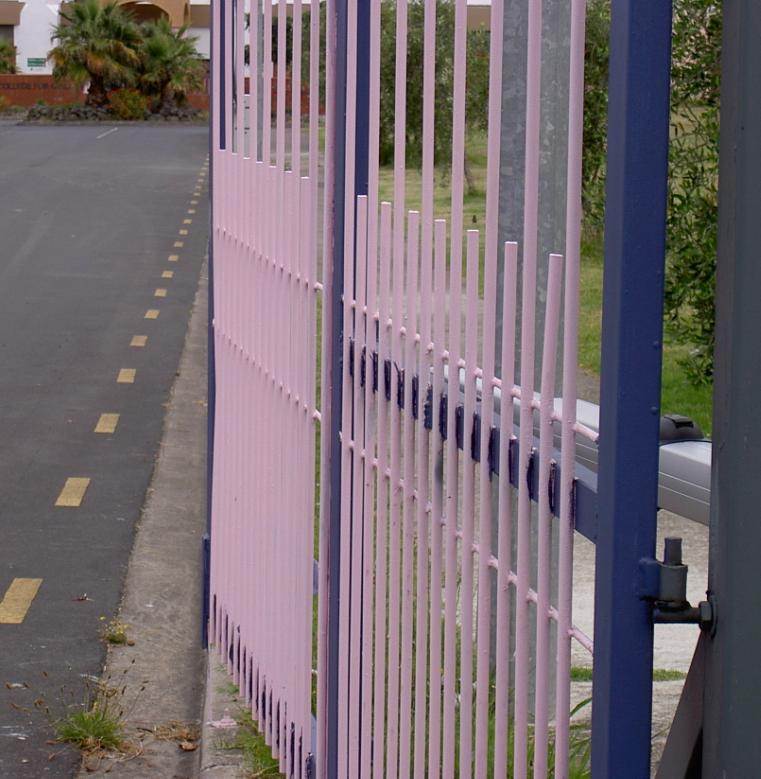[pink+gate.jpg]