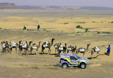 Jeep ruidoso jodiendo a los camellos durante el Rally Dakar