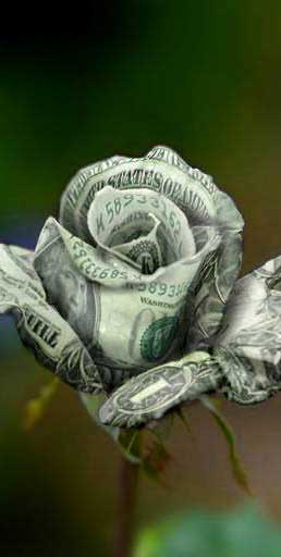 [money-rose.jpg]