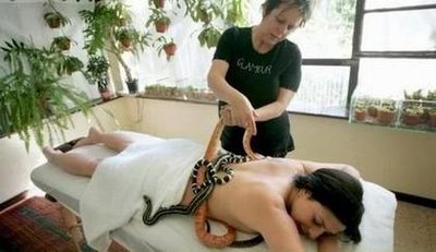 [snake-therapy-1.jpg]