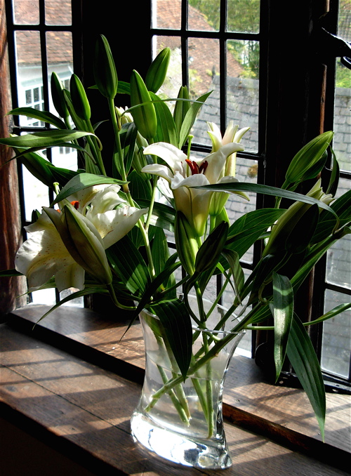 [lily+vase.jpg]