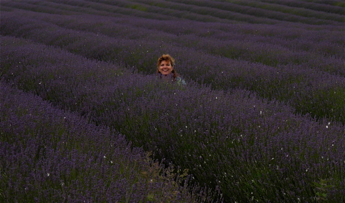 [lavender+dalis+sitting.JPG]