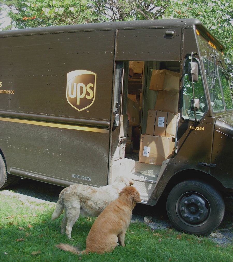 [ups+and+dogs.JPG]