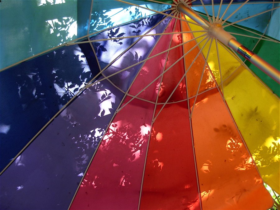 [shep+lunch+umbrella.JPG]