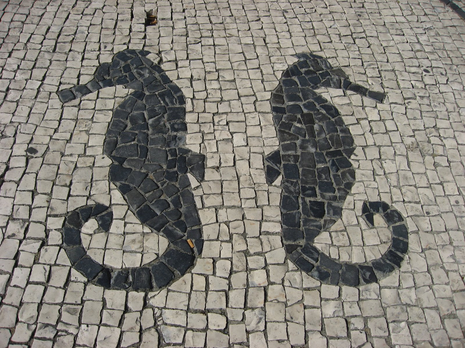 [2008-06-30+(mais)+Calçada+Portuguesa+em+Aveiro-01.jpg]