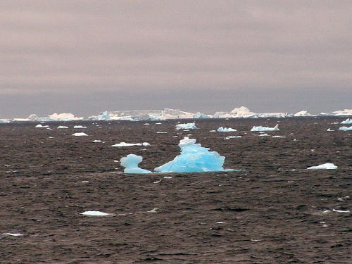 [antarctica_icebergs007.jpg]
