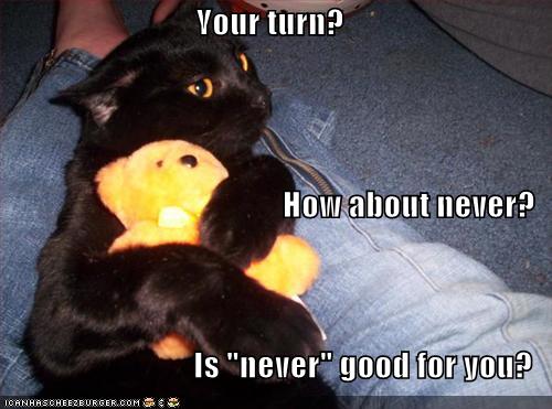 [funny-pictures-cat-hugs-teddy-bear-jealously.jpg]