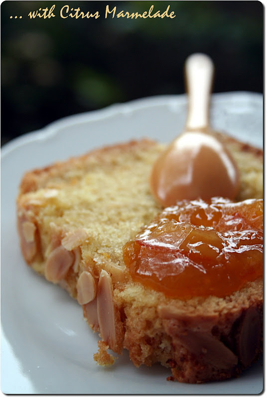 [almond+citrus+olive+oil+cake+04.jpg]