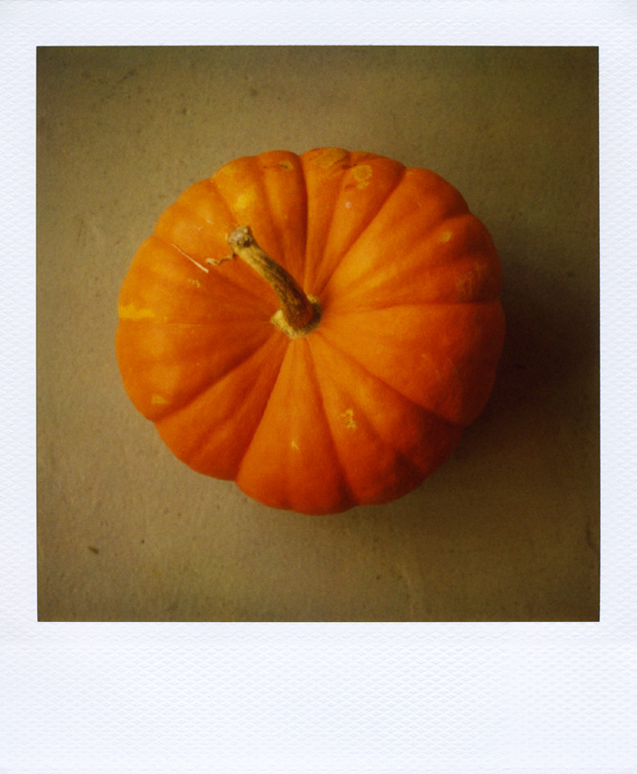 [pumpkin.jpg]