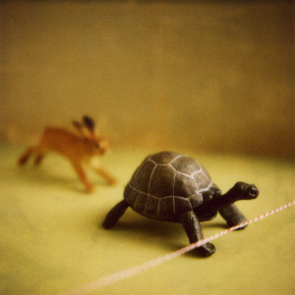 [tortoise_hare.jpg]