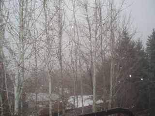 [snow+day.jpg]