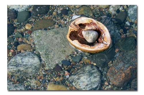 [walnut-boat.jpg]