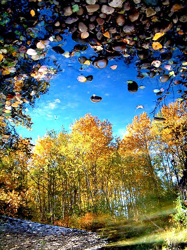 [the+autumn+dream+by+Francis+A+Willey.jpg]