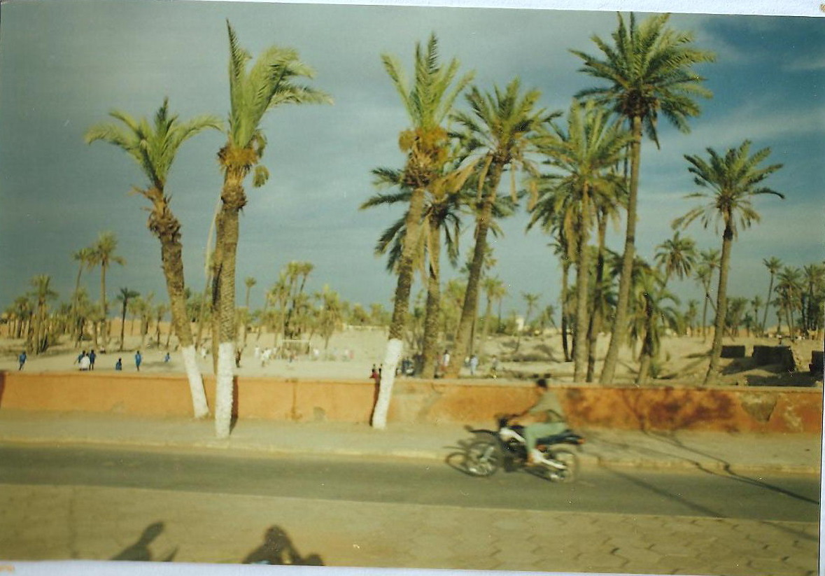 [Marrakech.+biker.jpg]