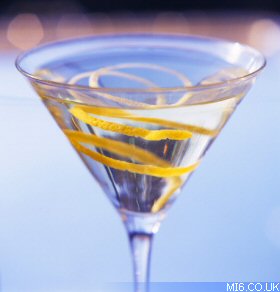 [vodka_martini.jpg]