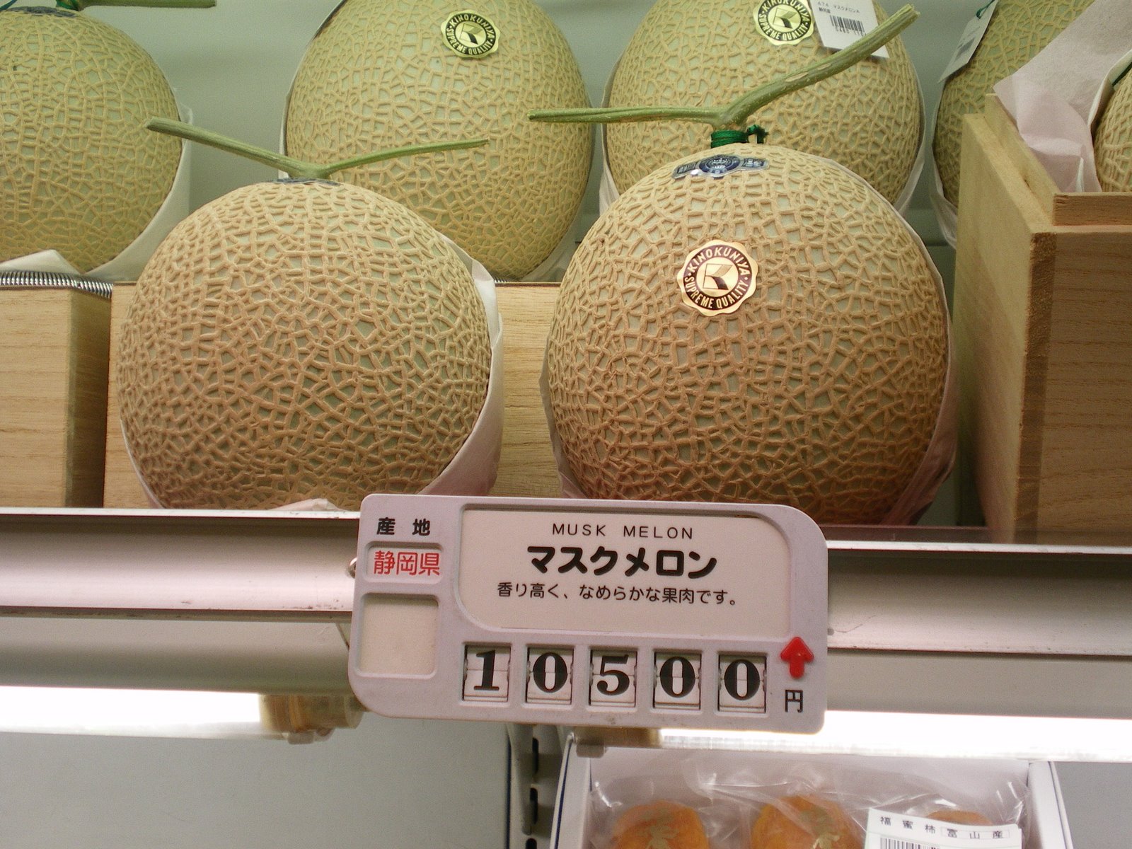 [Melon.JPG]