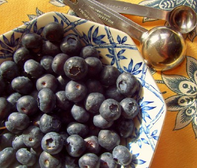 [blueberry-mini-muffins.jpg]