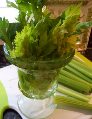 [celery-leaves.jpg]