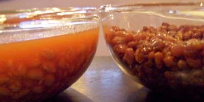 [canned-vs-dried-beans-amount.jpg]