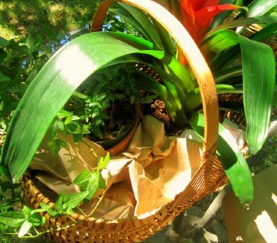 [stuffing-brown-paper-around-plants-in-tropical-basket-centerpiece.jpg]