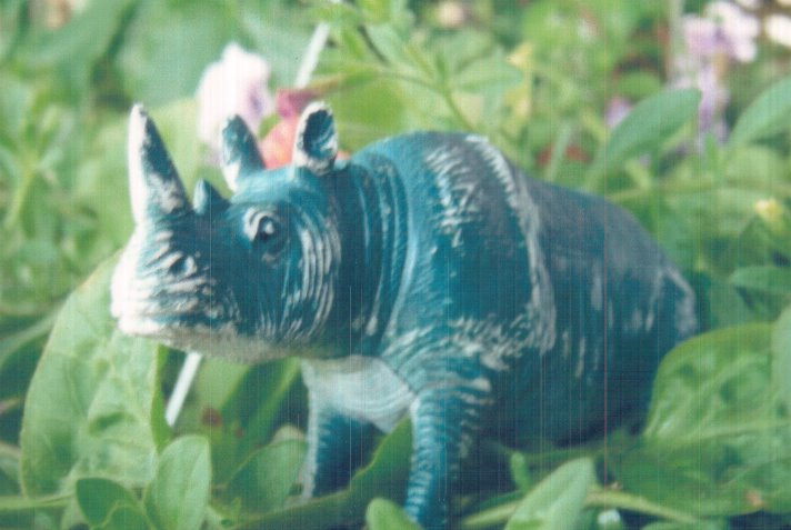 [rhino.BMP]