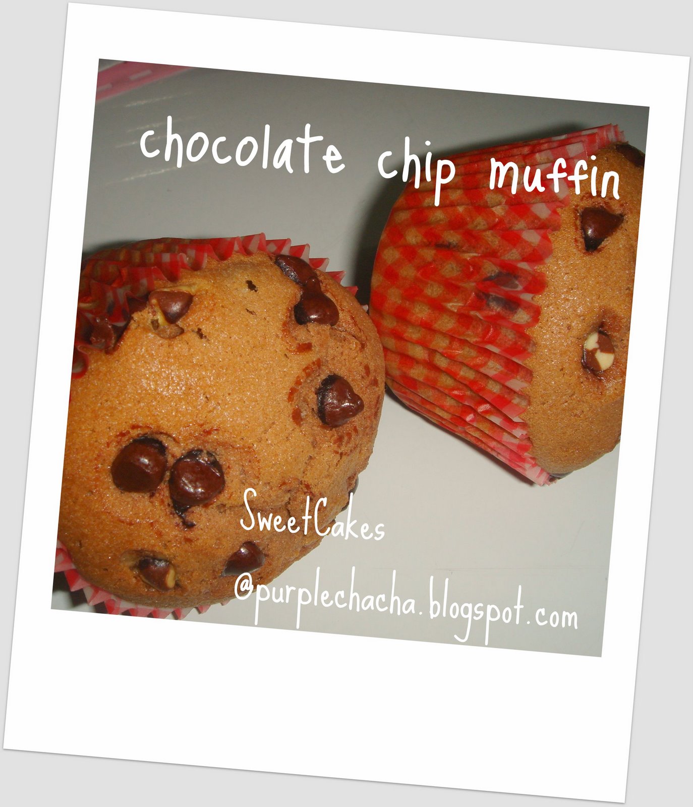 [choc+chip+muffin.jpg]