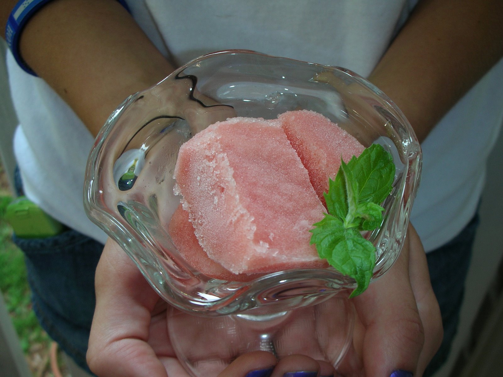 [Watermelon+Ice+007.jpg]