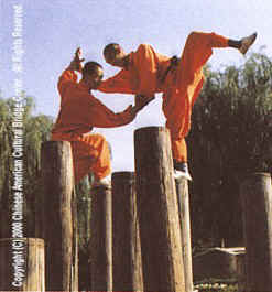[Shaolin_monks_fighting.jpg]