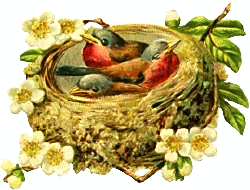 [birds-in-nest.png]