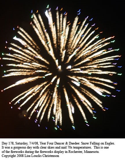 [IMG_1706-day178-fireworks-rochestermn.jpg]