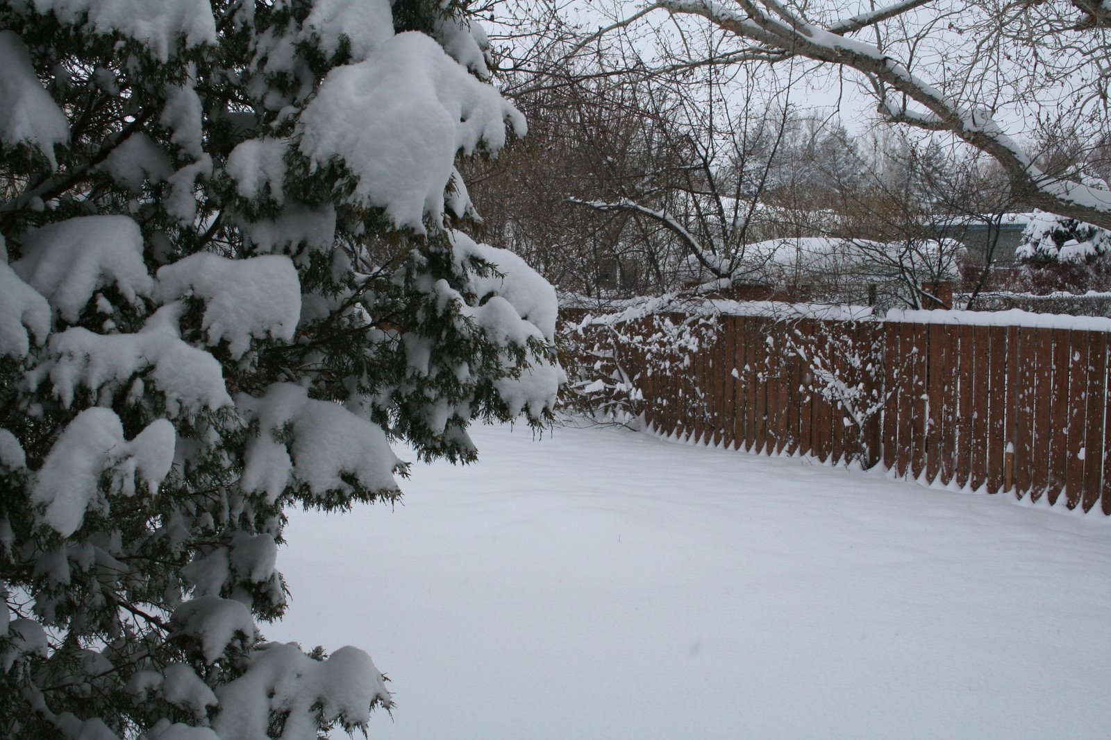 [Snow+in+April+007.jpg]