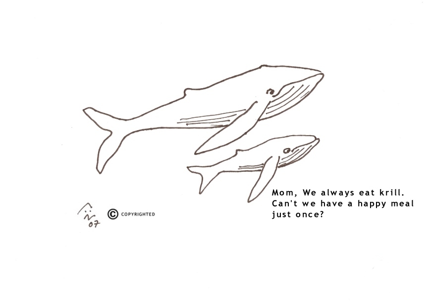 [whales0001a.jpg]
