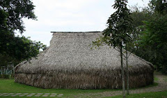 Vivienda del pueblo indigena Yuruti