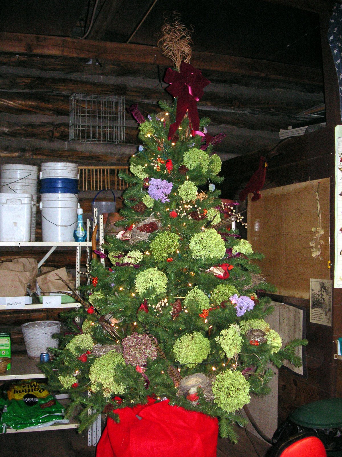 [Christmas+tree+2007.jpg]