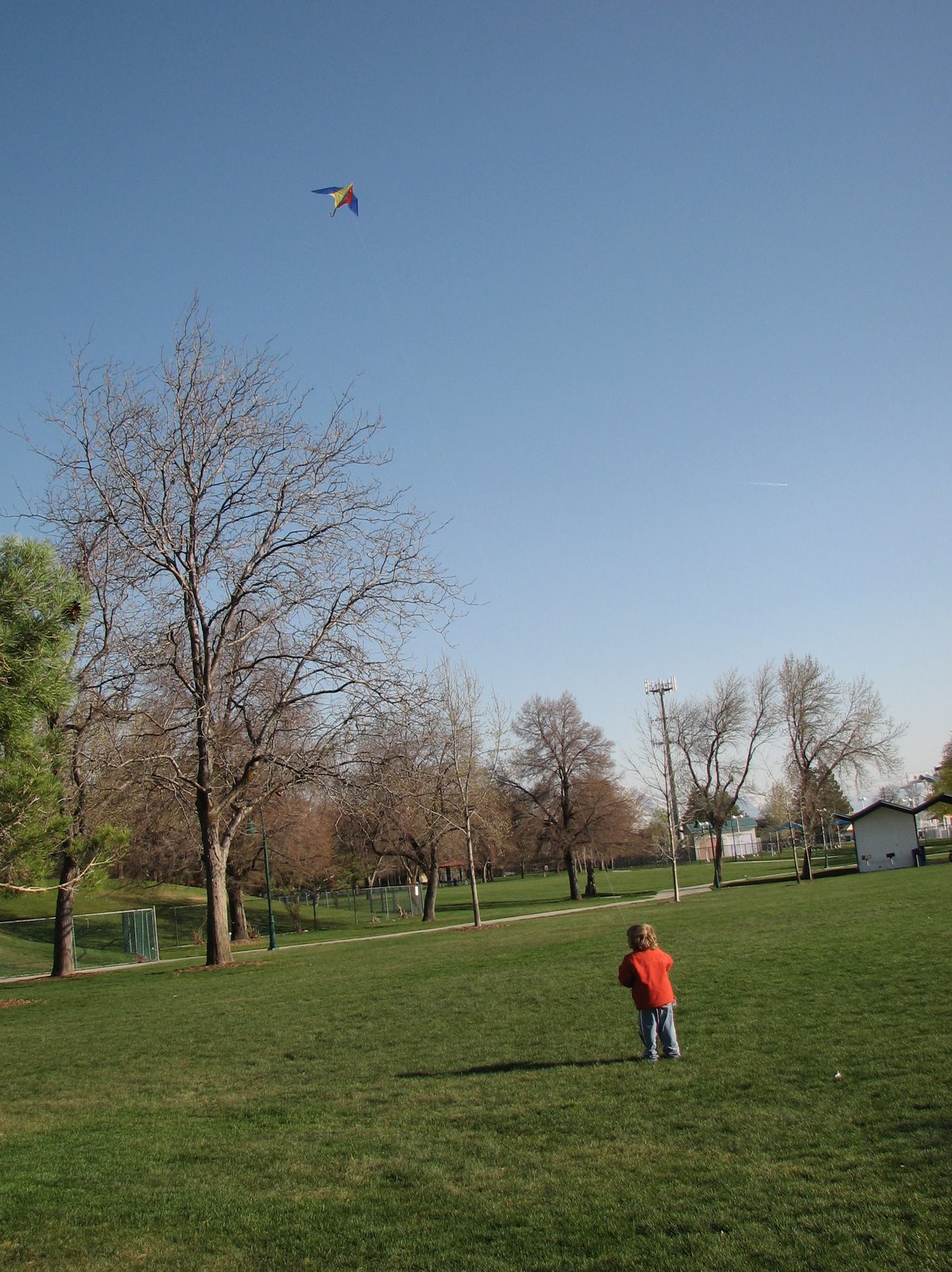 [kites+sam+flying.jpg]