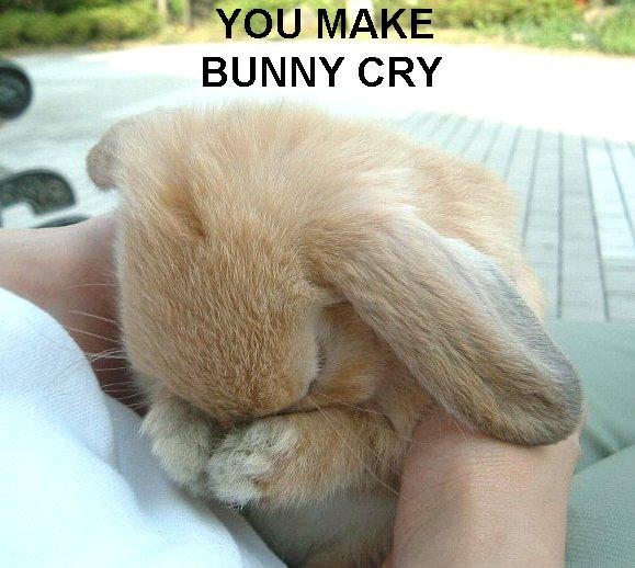[you-make-bunny-cry.jpg]
