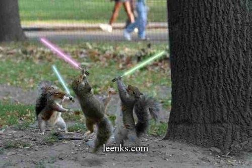 [squirrels+and+ligh+sabers.bmp]
