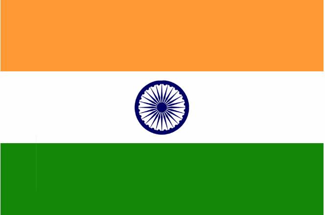 [indian flag.jpg]