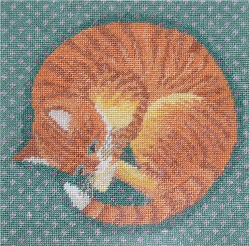 [Marmalade+Cat.jpg]