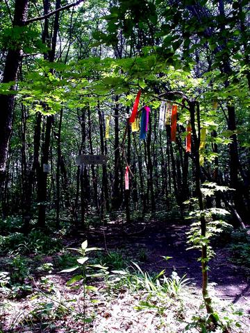 The ribbon trail