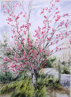 [farnsworth-flowering+cherry.jpg]