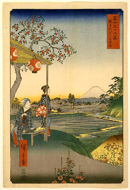 [Hiroshige-Fuji-Zoshigaya.jpg]