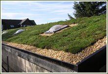 We install Living Roofs