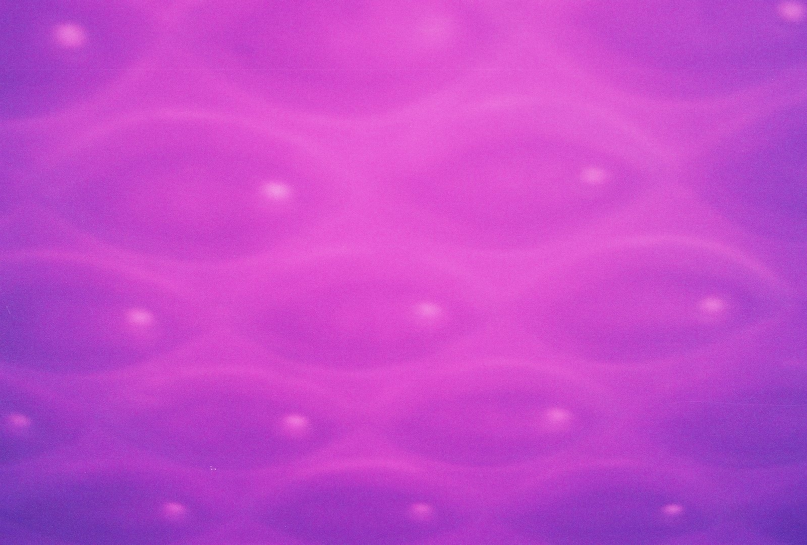 [Purple+Fish-1.JPG]