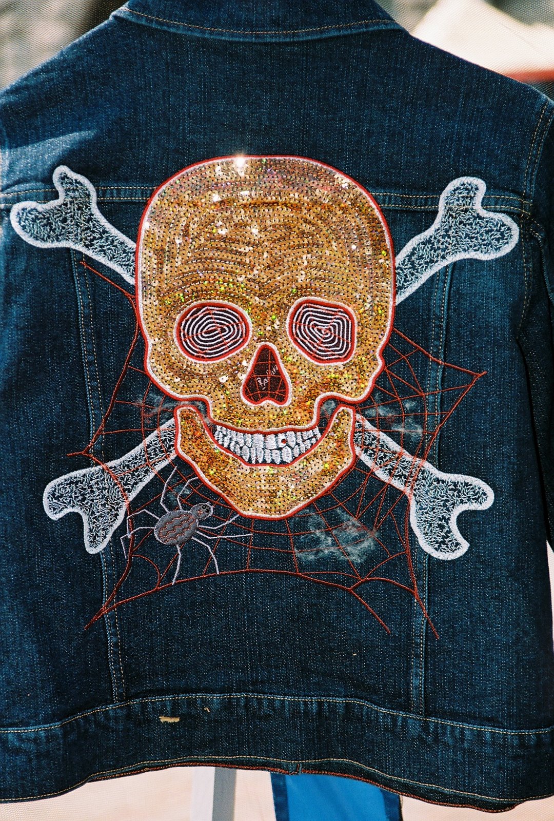 [Skull+and+Crossbones+Jacket.JPG]