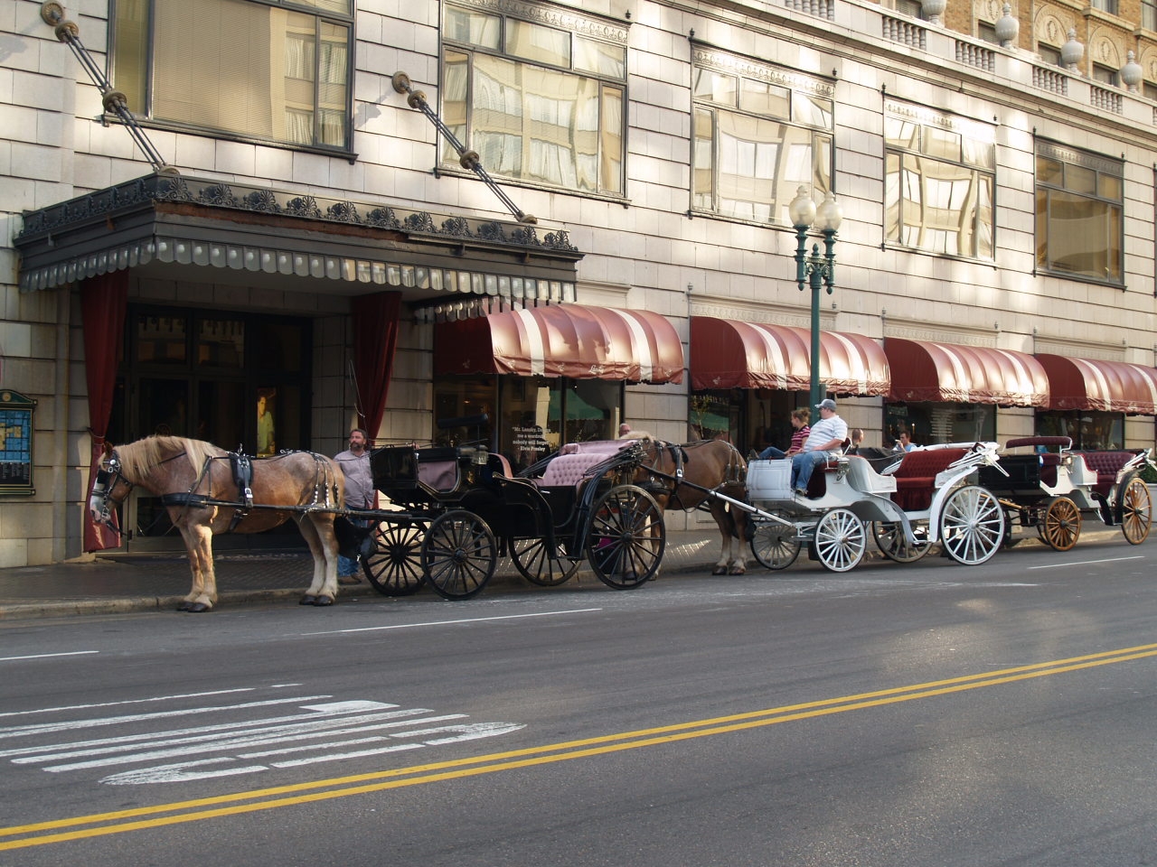 [Horse+Carriages+at+the+Peabody.JPG]