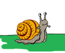 [snail.gif]
