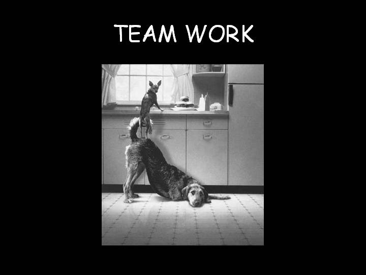 [Team_Work.JPG]